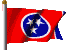 tn-flag.gif (8220 bytes)